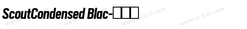 ScoutCondensed Blac字体转换